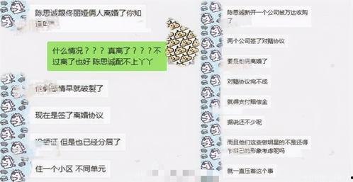 总裁夺爱失婚妻 体育圈吃瓜爆料半个体育圈的人都在水立方,体育圈水立方揭秘，半个圈层集体围观